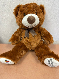 Load image into Gallery viewer, Plush Balloon Fiesta Bear
