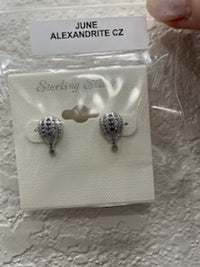 Load image into Gallery viewer, Sterling Silver Studs

